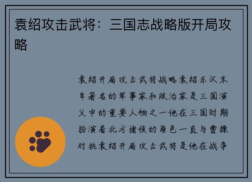 袁绍攻击武将：三国志战略版开局攻略